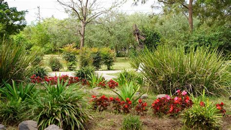  El Jardín Botánico de Aachen: Un Oasis Verde en el Corazón Industrial de Alemania