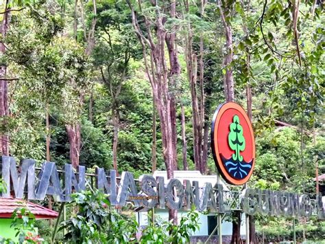  Taman Hutan Raya Gunung Merapi ¡Una aventura volcánica y un encuentro con la flora de Java!